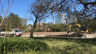 皇居東御苑の奥