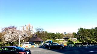 千鳥ヶ淵公園の花見で行ってきました