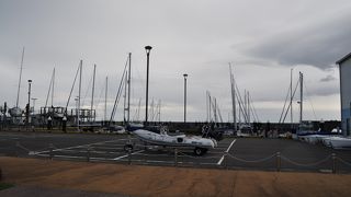 散歩が気持ちいい