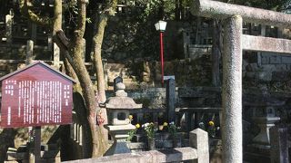 中岡慎太郎と並ぶ