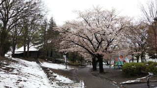 一角に広い公園☆