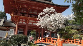 鮮やかな朱色の門