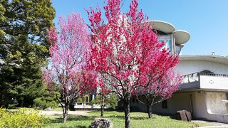 北桔橋門から皇居東御苑に入ってすぐ　桃華楽堂