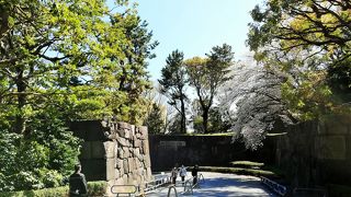 江戸時代を想像しながら散歩　皇居東御苑