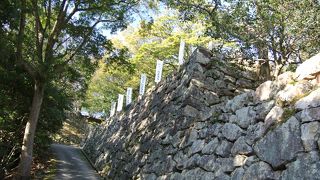 石垣が素晴らしい！