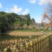 嵐山から嵯峨野に行くところに、静かな池