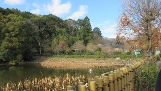 嵐山から嵯峨野に行くところに、静かな池