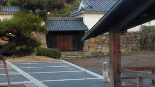 見ていて不思議