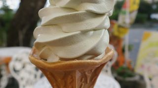 珍味？　わかめのソフトクリーム