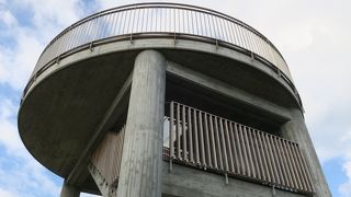 鳴門海峡がよく見える