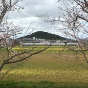 藤原京跡近くの池畔からの景色