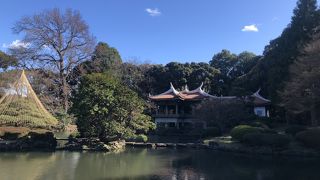 眺めが大変良い