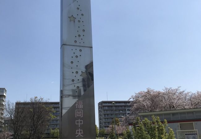 お花見スポットの大きな公園