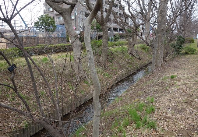 千川上水・用水と江戸・武蔵野 ～管理体制と流域社会～ - 名著