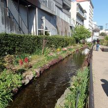 目黒川緑道にあるせせらぎ