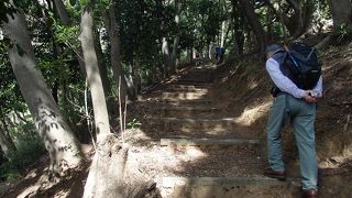 桜を見に白山展望台に登りました