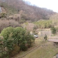 客室からの眺め