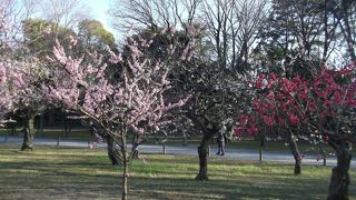 見所満載の歴史的建造物