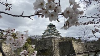 大阪城と桜