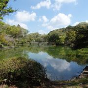 町田市散策で最初に薬師池公園に行きました