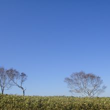 散策路から見える風景