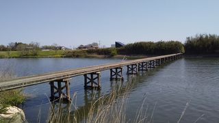 落ちないように渡る橋