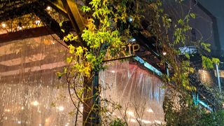 おしゃれで美味しいレストラン