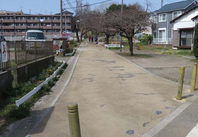 素敵な散歩道