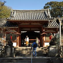 梅の時季だった