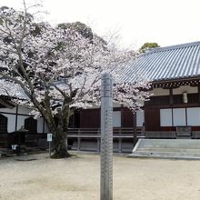 宗隣寺庭園