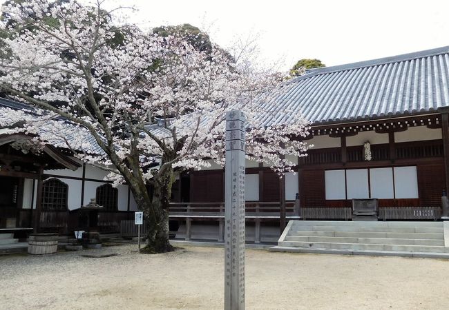 宗隣寺庭園