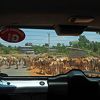 ニャウンシェの街からカックー遺跡への移動