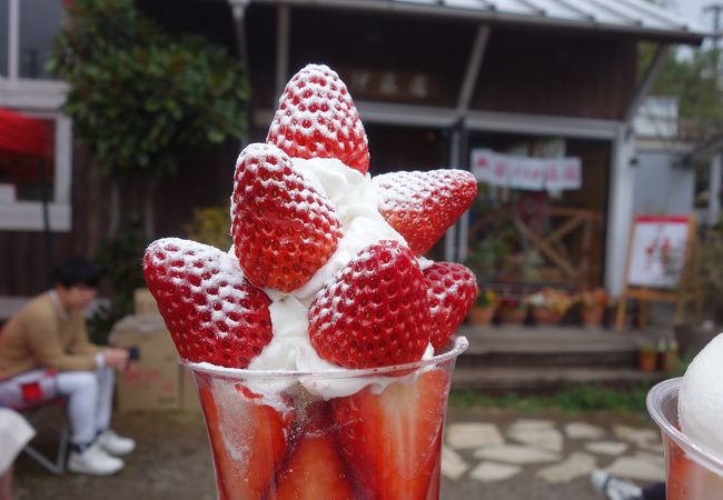 「苺の伊藤園」。ストローベリー・パフェがおいしい。イチゴ栽培農園の直営です。
