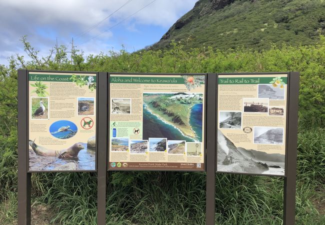 カエナ ポイント州立公園 クチコミ アクセス 営業時間 オアフ島 フォートラベル カエナ ポイント州立公園 クチコミ アクセス 営業時間 オアフ島 フォートラベル