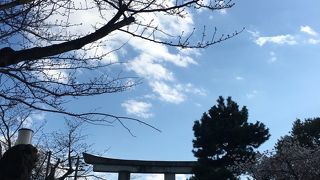 よく見かける鳥居