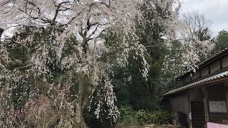 天益寺