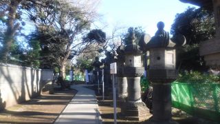 ずらりと並んだ灯籠