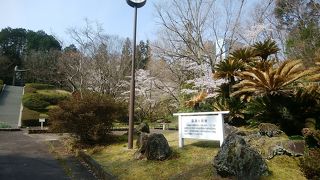 自然をそのまま生かした百年公園