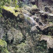 水量によって表情の異なる滝