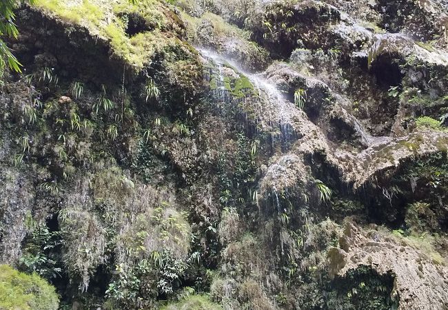 水量によって表情の異なる滝