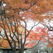 紅葉や「習志野地名発祥の地」など意外な見どころもあり