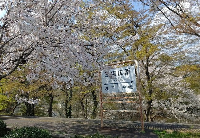 旧 三河広瀬駅 クチコミ アクセス 営業時間 豊田 フォートラベル