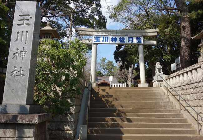 玉川神社 クチコミ アクセス 営業時間 二子玉川 フォートラベル