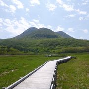 緑の美しい湿原