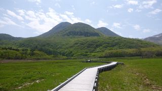 緑の美しい湿原