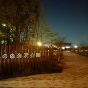 キレイな公園です