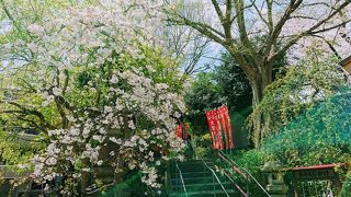 桜は控えめ 横浜最古のお寺