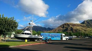 ワイアナエボートハーバーから