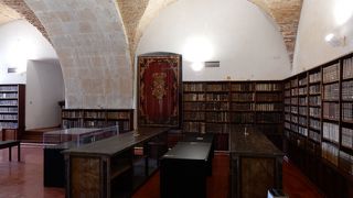 豪華絢爛の図書室