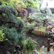 本堂裏の庭と池